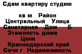 Сдам квартиру-студию 24 кв.м › Район ­ Центральный › Улица ­ Санаторная › Дом ­ 50Б › Этажность дома ­ 11 › Цена ­ 20 000 - Краснодарский край, Сочи г. Недвижимость » Квартиры аренда   . Краснодарский край,Сочи г.